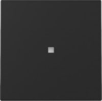 GIRA 3290005 Wippe Kontrollfenster System 55 Schwarz matt (lackiert)