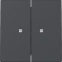 GIRA 363128 Wippe 2fach Kontrollfenster System 55 Anthrazit