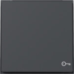 Gira 328767 Wippe Symbol Tür TX_44 WG Unterputz Anthrazit