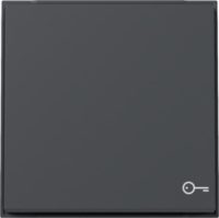 GIRA 328767 Wippe Symbol Tür TX_44 WG UP Anthrazit