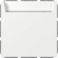 GIRA 314003 Hotel-CardS+N-Kl.System 55 Reinweiß glänzend