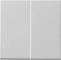 Gira Wippe 2-f. Tastschalter grau 0915015