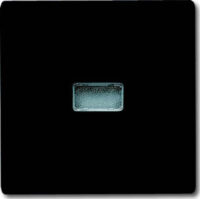 Busch-Jaeger Wippe anthrazit Kontroll-Wechsel 2107-35