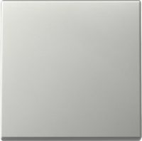 GIRA 3296600 Wippe System 55 Edelstahl