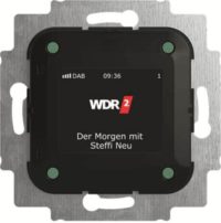 Bild vom Produkt: Busch-Jaeger Busch-Radio DAB+ 8215 U-101