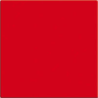 Busch-Jaeger Wippe rt Busch-balance SI 2506-917