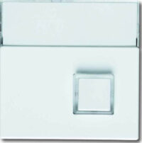 Busch-Jaeger Zentralscheibe sws mit Beschriftungsfeld 1571 CN-84