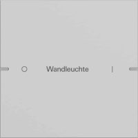 Gira Wippenset 1-fach Tastsens TS4 Grau 5031915