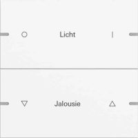 Gira Wippenset 2-fach Tastsens.4 TS4 reinweiß 5032927