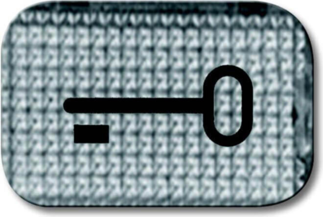 Busch-Jaeger Busch-Jaeger Tastersymbol Schlüssel 2145 TR