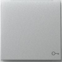 GIRA 328765 Wippe Symbol Tür TX_44 WG UP Farbe Alu