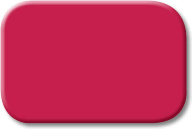Busch-Jaeger Busch-Jaeger Tastersymbol rot 2525-12