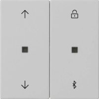 Gira Jalousie+Schaltuhr-Bedient grau 5367015