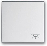 Busch-Jaeger Wippe mit Aufdruck Aluminium-Silber 2520 LI-83