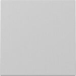 Gira 3296015 Wippe System 55 Grau matt (lackiert)