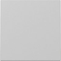 GIRA 3296015 Wippe System 55 Grau matt (lackiert)