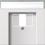 Gira Zentralplatte TAE reinweiß-glänzend 0876112