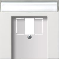 Gira Zentralplatte TAE reinweiß-glänzend 0876112