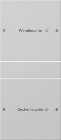 Gira Wippenset 2-f. 1+1 beschr.gr lackiert 2202015