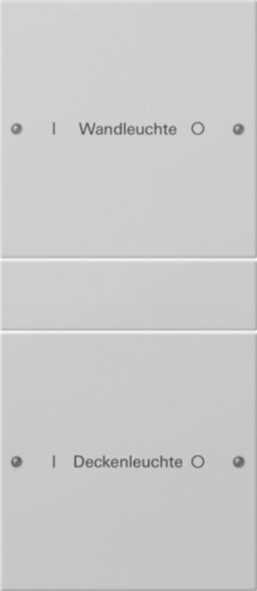 Gira Gira Wippenset 2-f. 1+1 beschr grau lackiert 2202015
