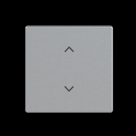 Busch-Jaeger Wippe Schalter/Dimmer alu-si matt 6735-11-83 Pfeile