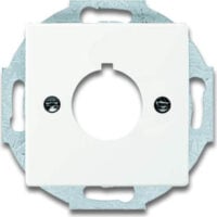 Busch-Jaeger Zentralscheibe stws matt 22,5mm Befehlsgeräte 2533-884