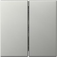 GIRA 3495600 Wippe 2fach gerade System 55 Edelstahl