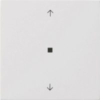 Gira Wippe 1-fach Reinweiß 5388112