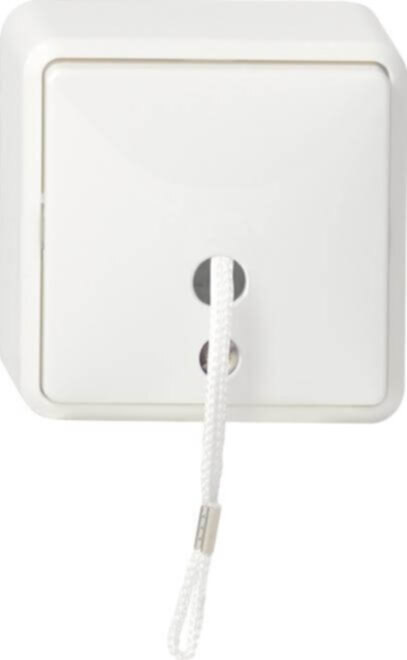 Gira Gira Zug-Wechselschalter reinweiß AP 014613