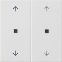 Gira Wippe 2-fach Reinweiß 538627