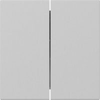 GIRA 3495015 Wippe 2fach gerade System 55 Grau matt (lackiert)