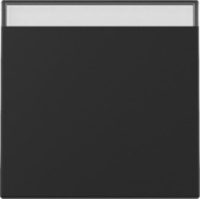 GIRA 3299005 Wippe Beschriftungsfeld System 55 Schwarz matt (lackiert)