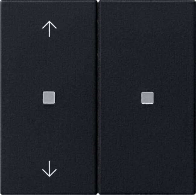 Gira Gira KNX RF Bedienaufsatz 2-f. Schwarz 5108005