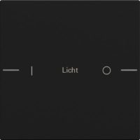 GIRA 5761005 Wippenset 1fach indiv. Tastsensor4 System 55 Schwarz matt(la)