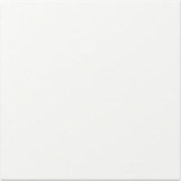 GIRA 349627 Wippe gerade System 55 Reinweiß seidenmatt