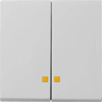 Gira Wippe 2-f. Kontrollfenster grau 0631015