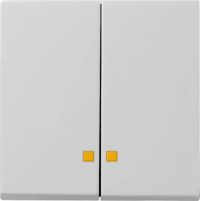 Gira Wippe 2-f. Kontrollfenster grau 0631015