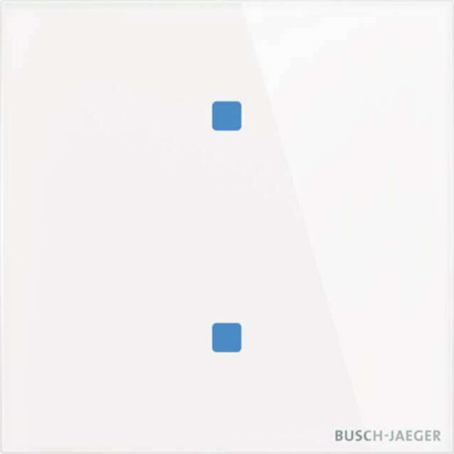 Busch-Jaeger Busch-Jaeger Touch-Bedienelement 2-fach TB/U2.4.11-CG