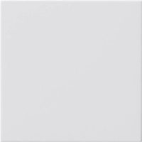 Gira Blindabdeckung reinweiß ohne Tragring 810803