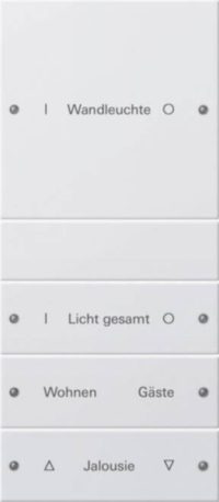 Gira Wippenset 4-fach beschr. Sys 55 reinweiß 220427