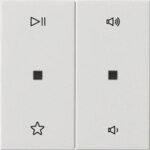 Gira Wippe 2-fach Audiostrg Reinweiß 538403