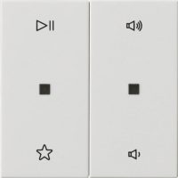 Gira Wippe 2fach Audiostrg Reinweiß 538403