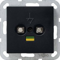Gira Potentialausgleich-Dose 2fach Schwarz 0405005