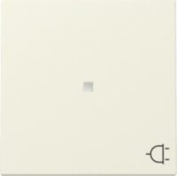 GIRA 329101 Wippe Kontrollfenster+Symbol Steckdose System 55 Cremeweiß glänzend