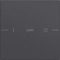 Gira Wippenset 1-fach indiv. Tastsensor Anthrazit 576128