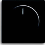Busch-Jaeger Zentralscheibe schwarz matt für Drehdimmer 6540-885-102