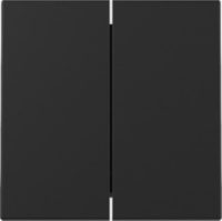 GIRA 3295005 Wippe 2fach System 55 Schwarz matt (lackiert)