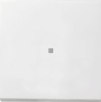 Gira Wippe Kontrollfenster 0914112