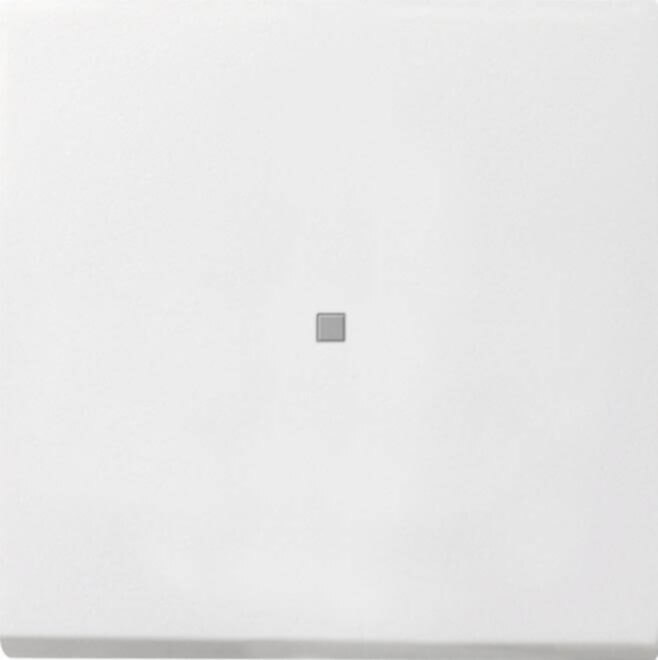 Gira Gira Wippe Kontrollfenster 0914112