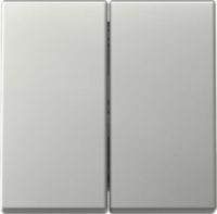 GIRA 3295600 Wippe 2fach System 55 Edelstahl